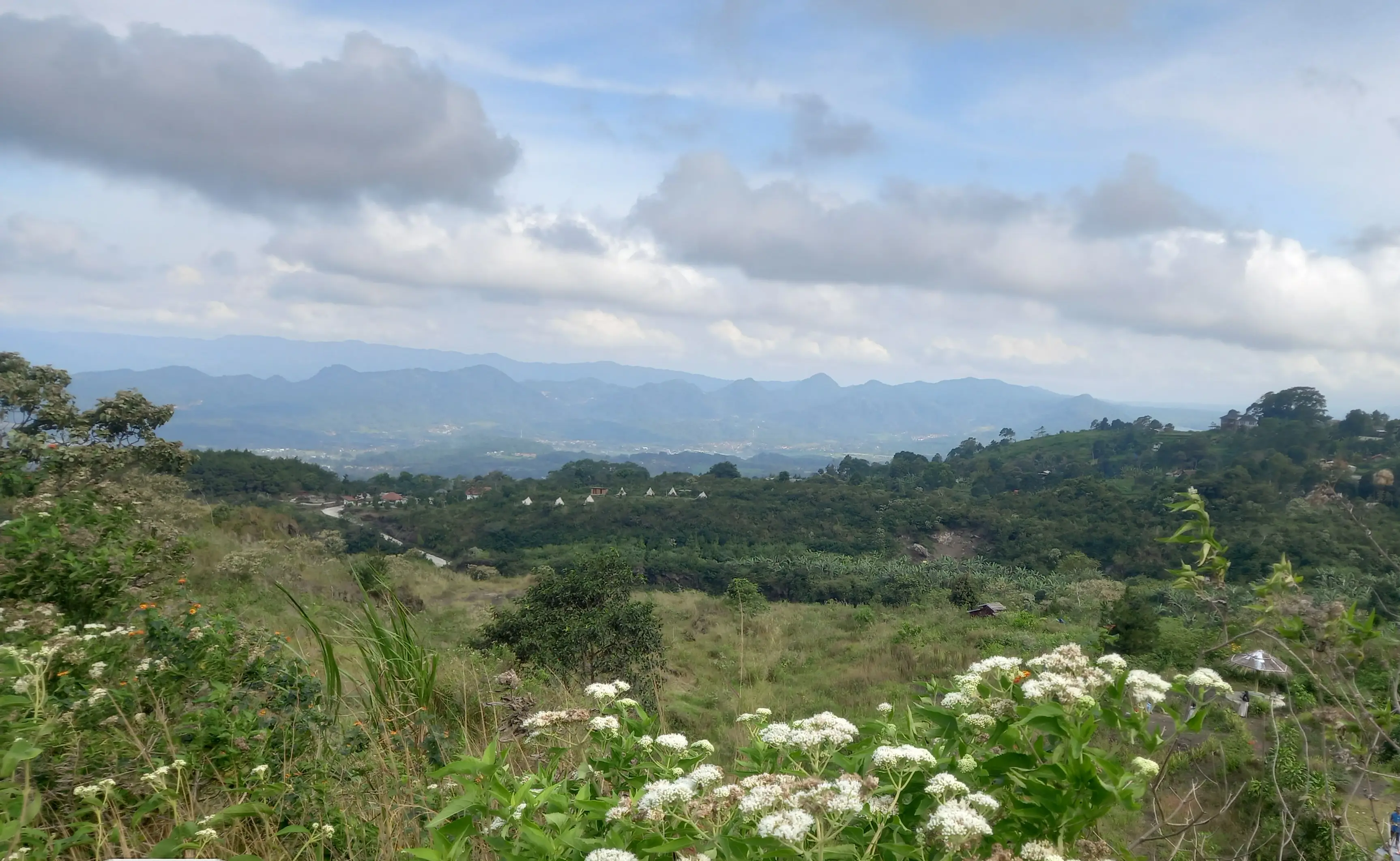 Balap karung